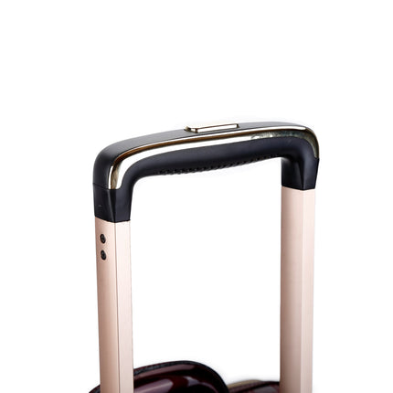 Brangio Glossy Striped Trolley Bag