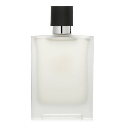 HERMES - Terre d'Hermes After Shave Lotion