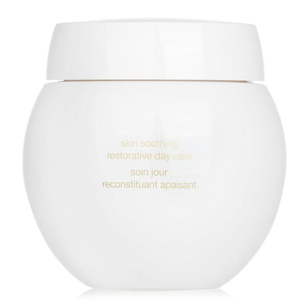 HELENA RUBINSTEIN - Re-Plasty Age Recovery Day Cream