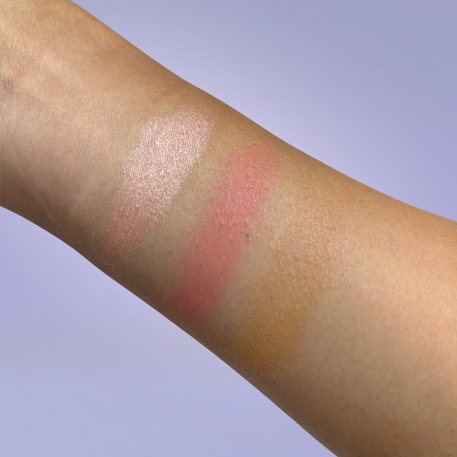 Pro Cheek Palette