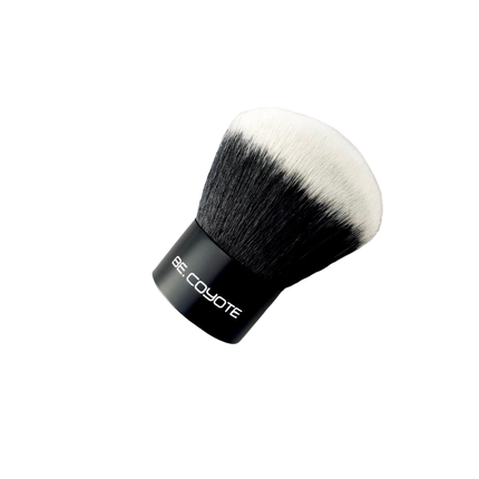 Kabuki Brush