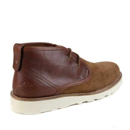 The Nolan | Cognac