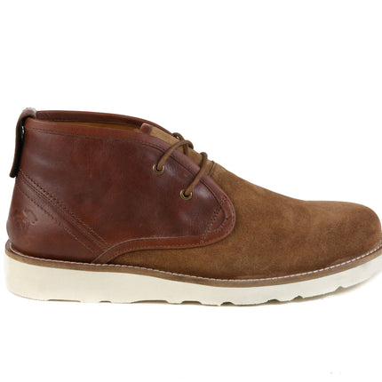 The Nolan | Cognac
