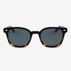 Black Tortoise