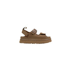 camel / 39